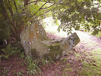 Large feature granite stone under tree