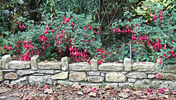 Low granite garden wall